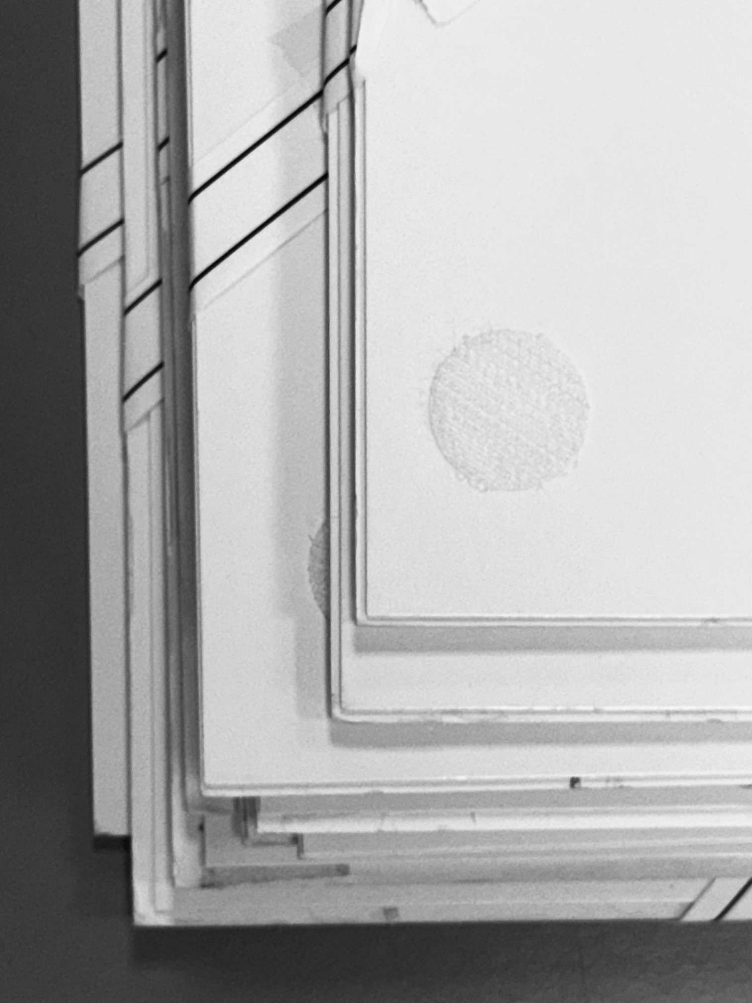 Exhibition photograph